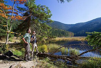 Bauern- und Wanderherbst am Berg - Wandern, Radeln und Entspannen im 4*s-Berghotel Maibrunn im Bayerischen Wald